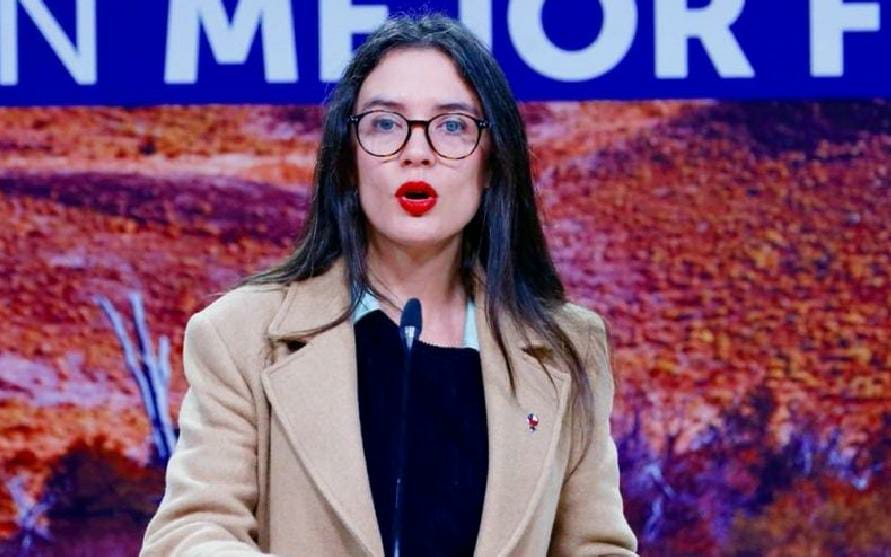 Ministra Vallejo asegura que subsecretario Araos seguirá en el cargo mientras tenga la confianza del Presidente - Atentos