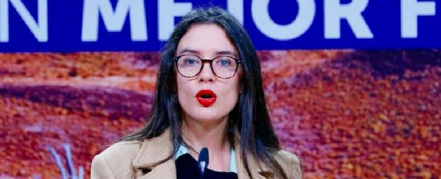 Ministra Vallejo asegura que subsecretario Araos seguirá en el cargo mientras tenga la confianza del Presidente - Atentos