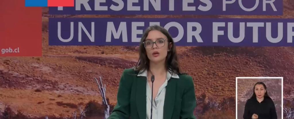 Ministra Vallejo acusó 'sobreideologización brutal' por gas y apuntó a millonario costo por plataforma de pagos durante gobierno de Piñera