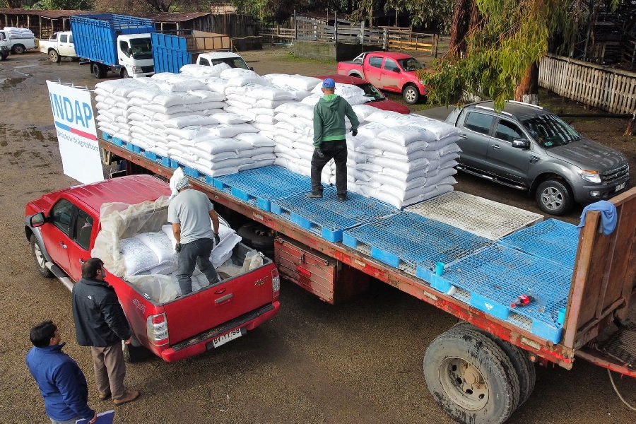 En San Carlos avanza entrega de alimentación animal para la pequeña agricultura