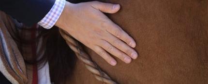 Cadena de oración por la salud de Gonzalo Jara Villasante