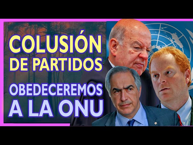 Republicano y demás partidos políticos asumen que la nueva constitución será globalista y de La ONU