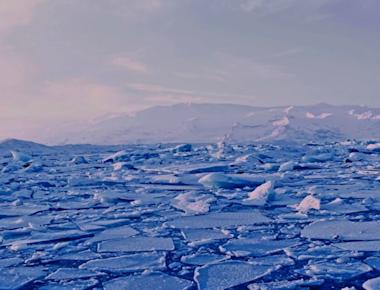 Calentamiento global causa un fenómeno que pone en riesgo a todos