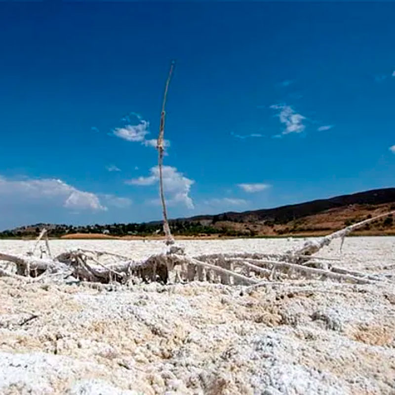 Más de la mitad del los lagos del mundo se están secando. Calentamiento global y consumo humano, serían los responsables