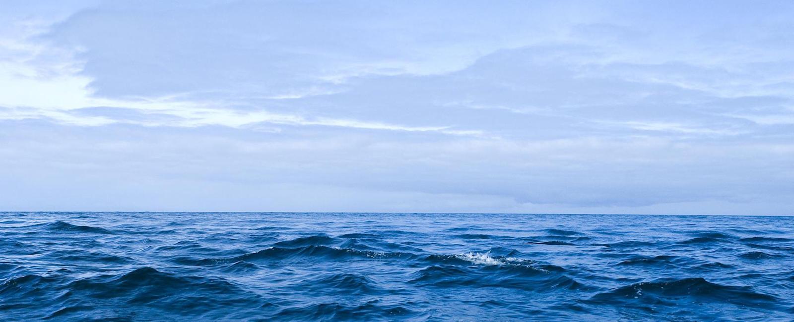 Día del Océano: oportunidad de promover a la dieta azul