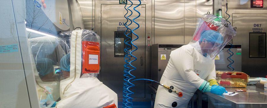 Covid: las nuevas revelaciones sobre su origen