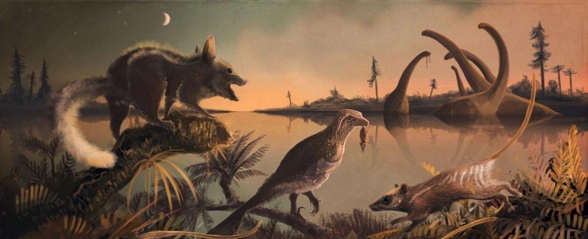 El astuto cazador de dinosaurios: la dieta del tejón prehistórico