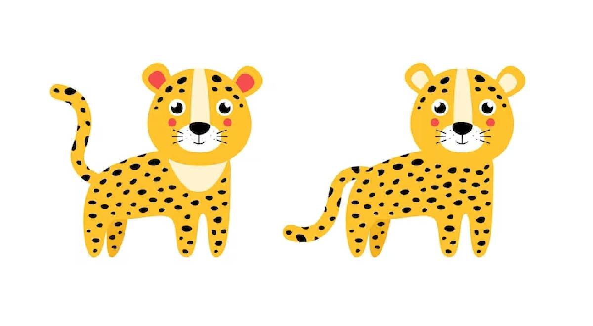 Solo una mente VELOZ superaría este ejercicio: ¿cuáles son las 3 únicas distinciones del leopardo?