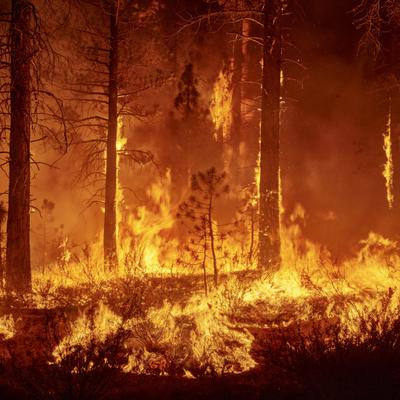 Calentamiento global: ¿Qué es la era de la ebullición?