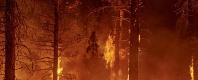 Calentamiento global: ¿Qué es la era de la ebullición?