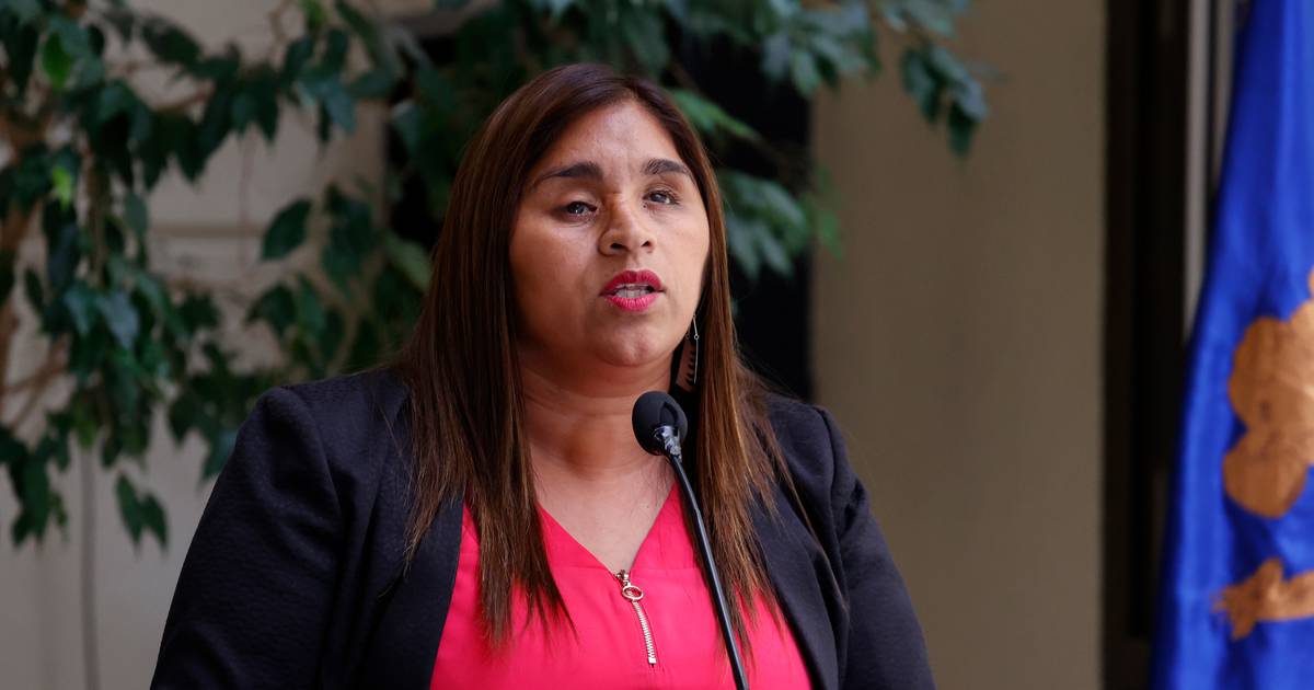 “Considero que es un buen precedente”: Fisco deberá pagar $680 millones a Fabiola Campillai por daño moral