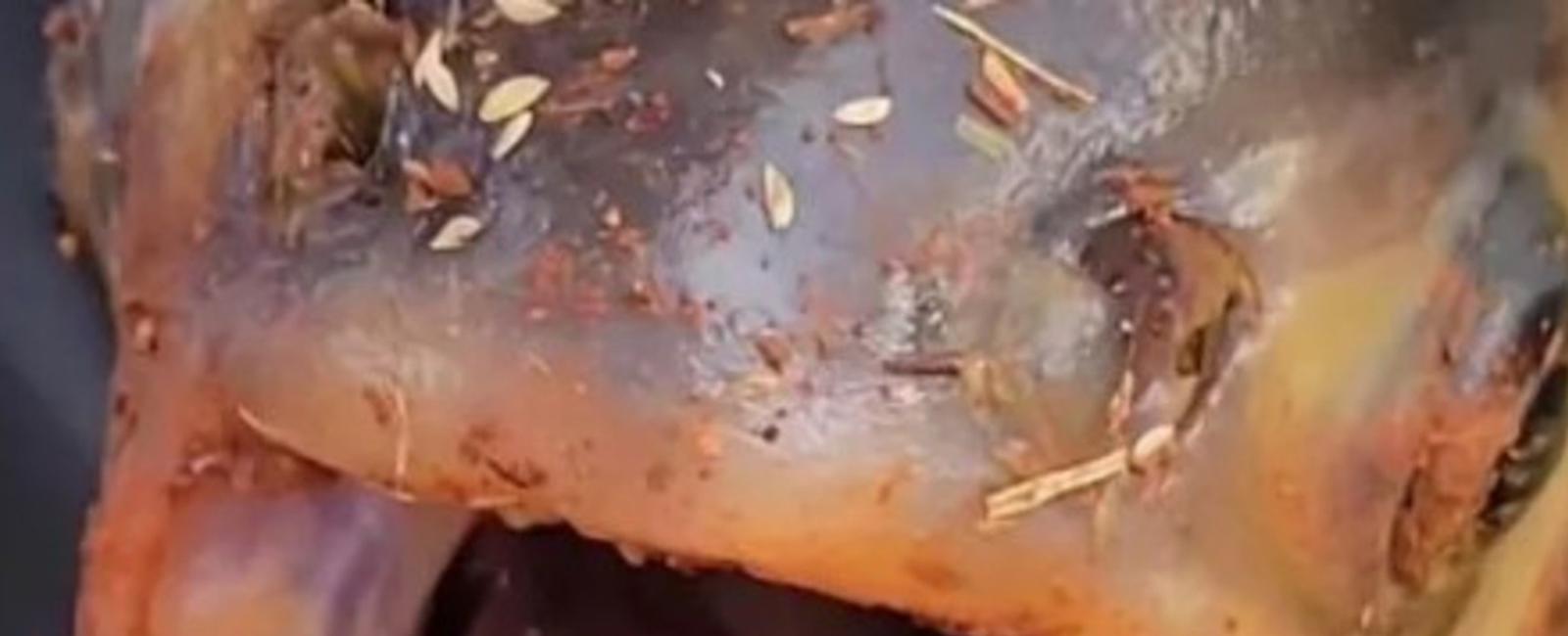 Un niño estaba pescando y atrapó un pez con dientes humanos