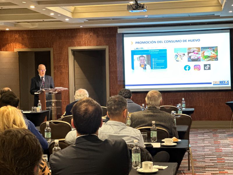 Chilehuevos denuncia que recursos anunciados son insuficientes para compensar pérdidas por la influenza aviar