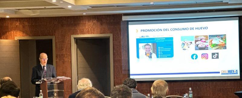 Chilehuevos denuncia que recursos anunciados son insuficientes para compensar pérdidas por la influenza aviar