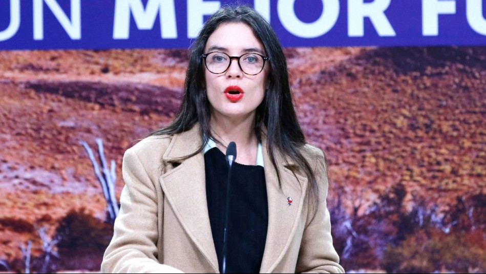 "Se basa en la homofobia y discriminación": Vocera Vallejo por acusación constitucional contra ministro Ávila