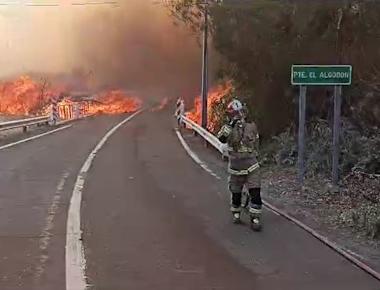 Videos | Declaran Alerta Roja por incendio forestal en la comuna de Alto del Carmen y Senapred activa mensajería SAE para evacuar sector