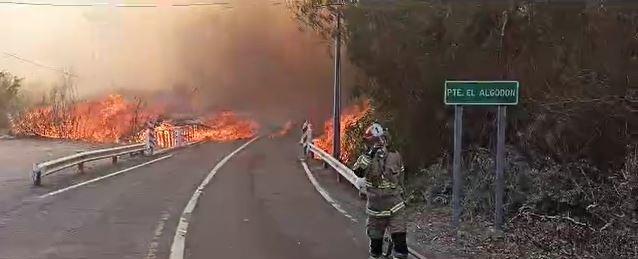 Videos | Declaran Alerta Roja por incendio forestal en la comuna de Alto del Carmen y Senapred activa mensajería SAE para evacuar sector