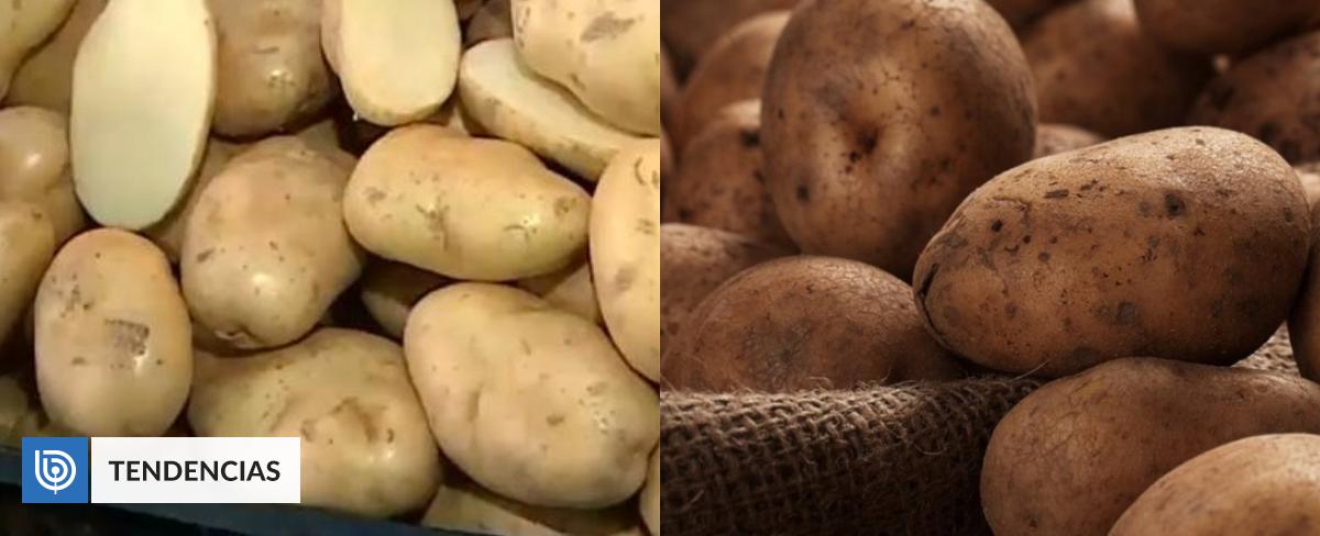 La papa argentina ya se comercializa en Chile ¿Dónde se puede encontrar y en qué se diferencia?