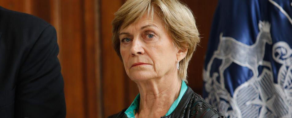 Matthei lanza fuertes críticas al Colmed: "Si el subsecretario Araos fuese de derecha, habrían estado chillando para que lo sacaran"