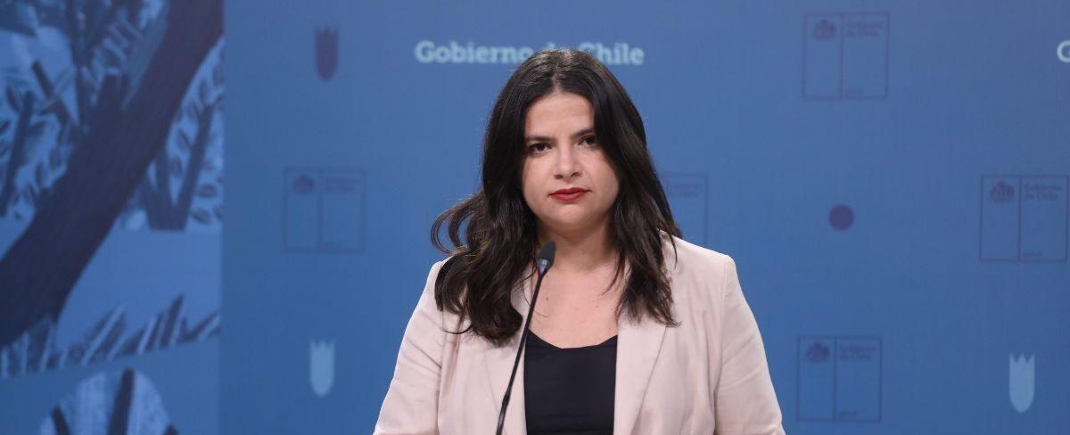 Orellana y triunfo de Republicanos: "Quien crea que va a actuar como la Lista del Pueblo, se equivoca"