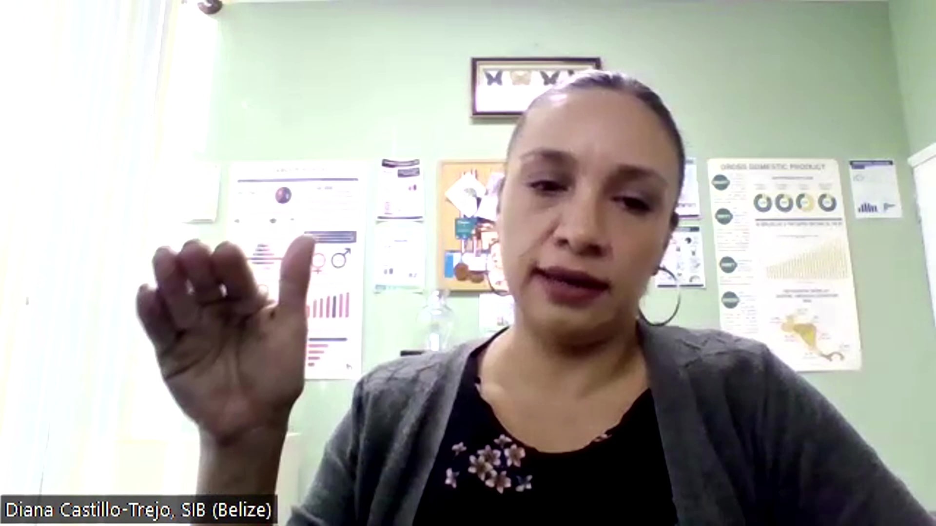 EL INSTITUTO DE ESTADISTICAS DE BELCIE REPORTA UNA DESACELERACION DE LA INFLACION