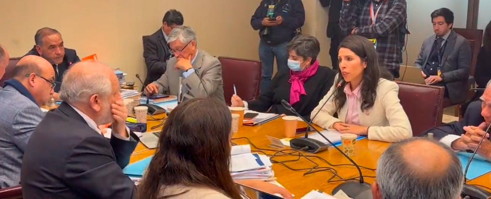 VIDEO| Tensión en el Congreso: Senadora Gatica (RN) trata a ministro Montes de “títere de Boric”