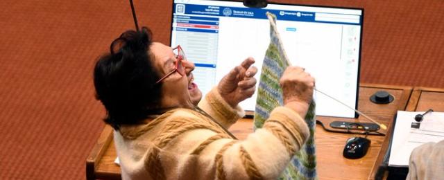 Corte Suprema publica fallo que confirma desafuero de María Luisa Cordero: "Deshonra la dignidad de la senadora Campillai"