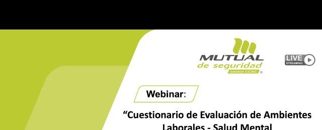 Cuestionario de Evaluación de Ambientes Laborales Salud Mental CEAL SM SUSESO