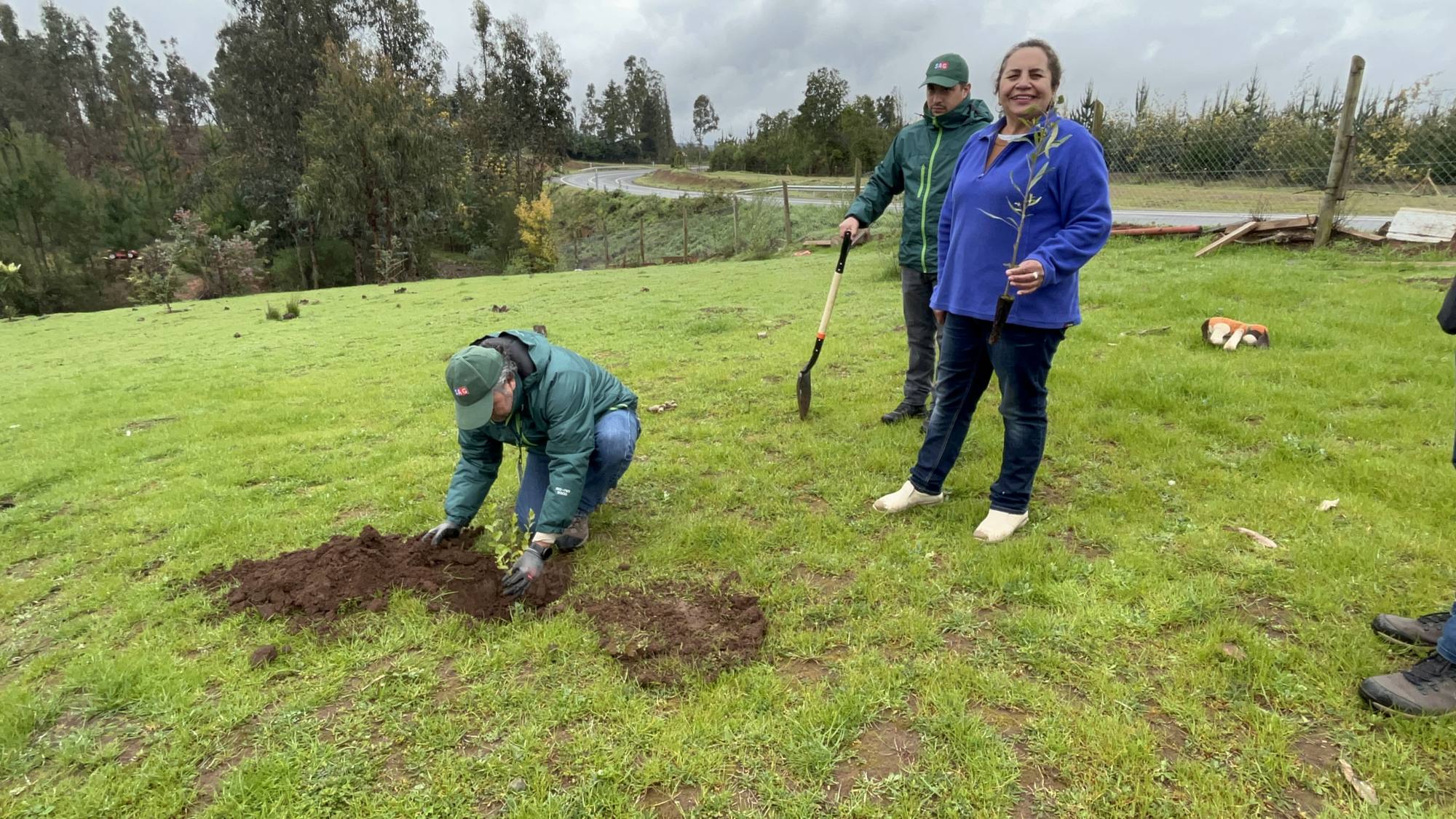 Entrega árboles nativos a dueños/as de aves de corral de zona de control del foco de influenza aviar en Florida