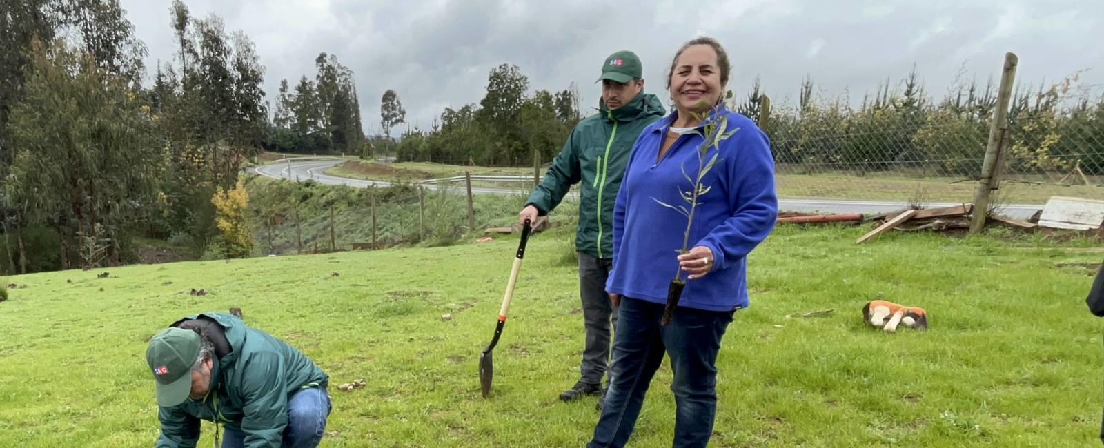 Entrega árboles nativos a dueños/as de aves de corral de zona de control del foco de influenza aviar en Florida