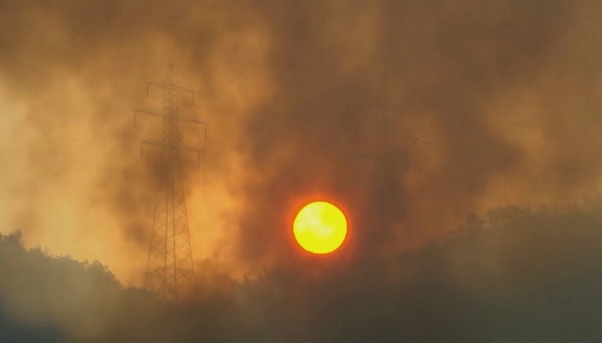 Alerta mundial: pasamos de "calentamiento" a "ebullición" global