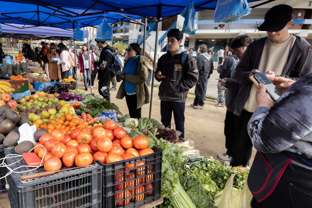 Mercadito UdeC: feria llega al barrio universitario para promover la alimentación saludable de la comunidad