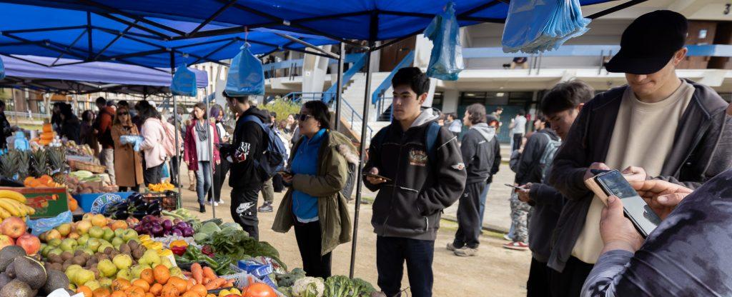 Mercadito UdeC: feria llega al barrio universitario para promover la alimentación saludable de la comunidad