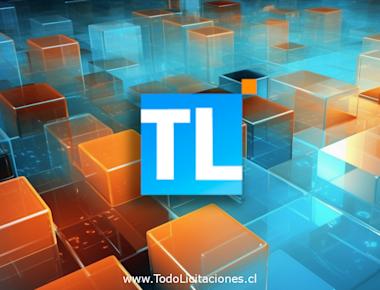 Adq Camilla De Transporte Y Carros De Paro Das-Servicio De Salud Arauco