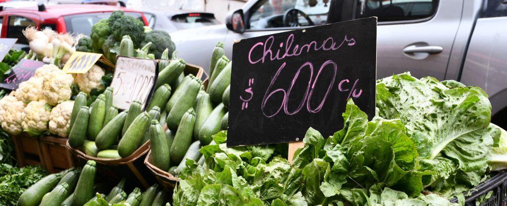 ¿Cómo afectará el sistema frontal a nuestra alimentación? El Doctor Chef nos explica