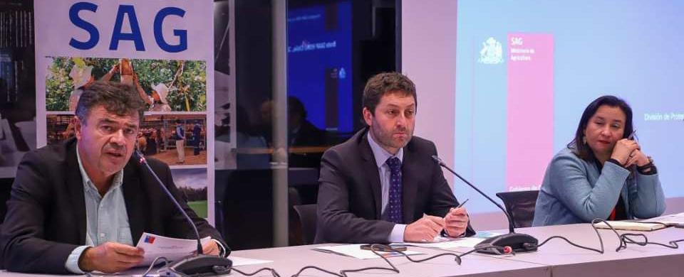 Ministro Valenzuela aborda eventual vacunación de aves por influenza aviar en seminario organizado por el Minagri y la Cámara de Diputados