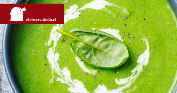 Cocina en casa: Recetas de sopas y cremas con un toque espaĂąol