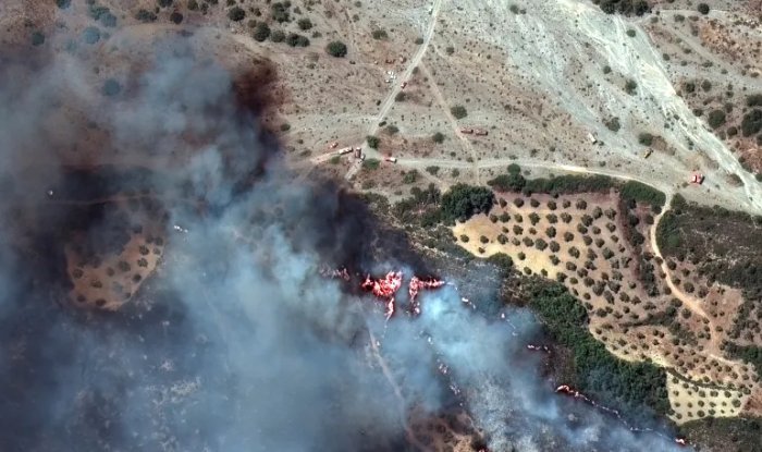 El calentamiento global ha terminado, reemplazado por una ebullición global | Infouno.cl