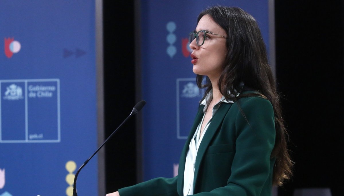 'Gas para Chile': Vallejo acusa "sobre ideologización brutal" en debate