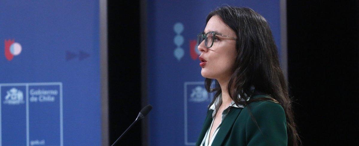 'Gas para Chile': Vallejo acusa "sobre ideologización brutal" en debate