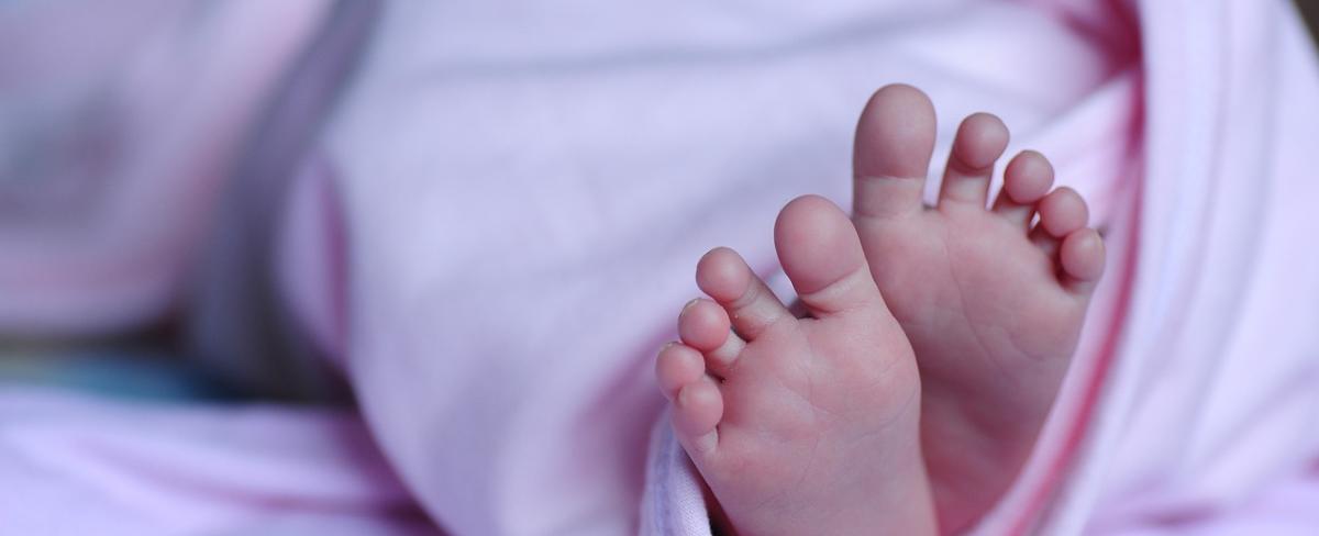 Muerte de 2 bebés: RN llama a incorporar a autoridades de gobiernos anteriores para controlar crisis