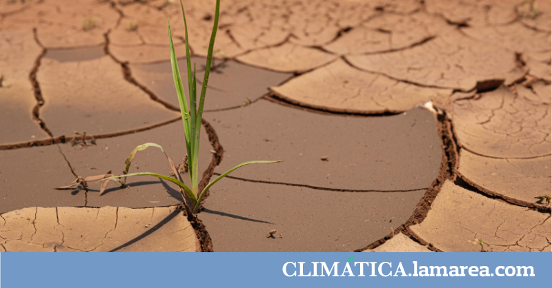 El tercer eje de la crisis climática: la falta de agua dulce intensifica el calentamiento global y la pérdida de biodiversidad