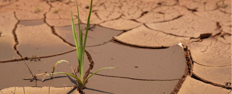 El tercer eje de la crisis climática: la falta de agua dulce intensifica el calentamiento global y la pérdida de biodiversidad