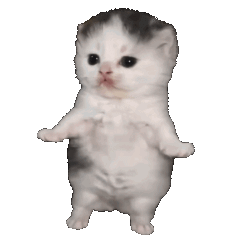 ai-cat-dance-2