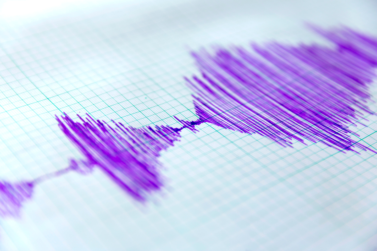 A seismograph reading in purple ink