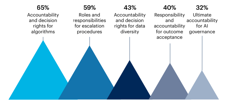 Graph roles responsabilities identidied in your AI governance framework