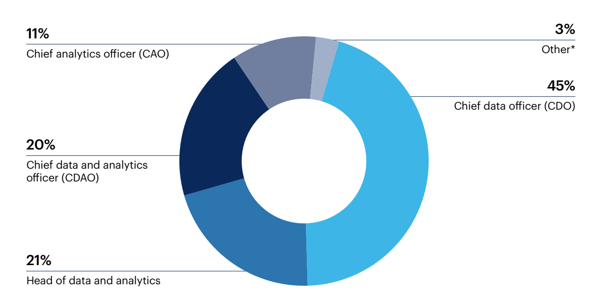 What is the title of the senior data and analytics leadership role at your organization?†