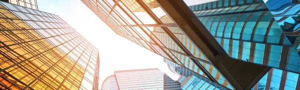 Software Engineering Teams Plan to Scale Up Productivity