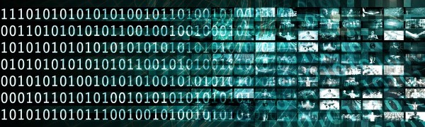 Data Governance Frameworks and Challenges