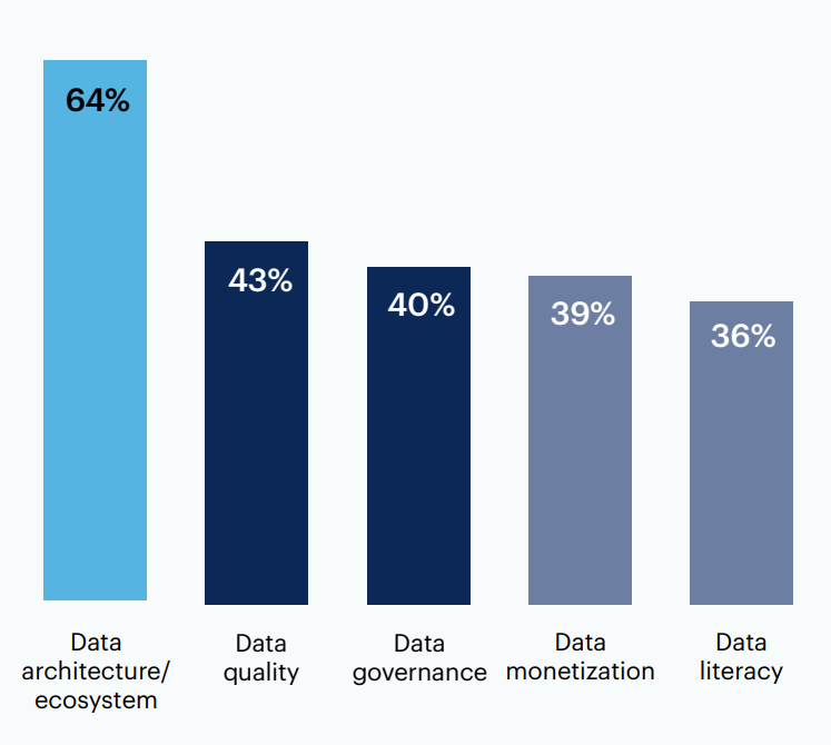 What should your senior data and analytics leader focus on for the next year?